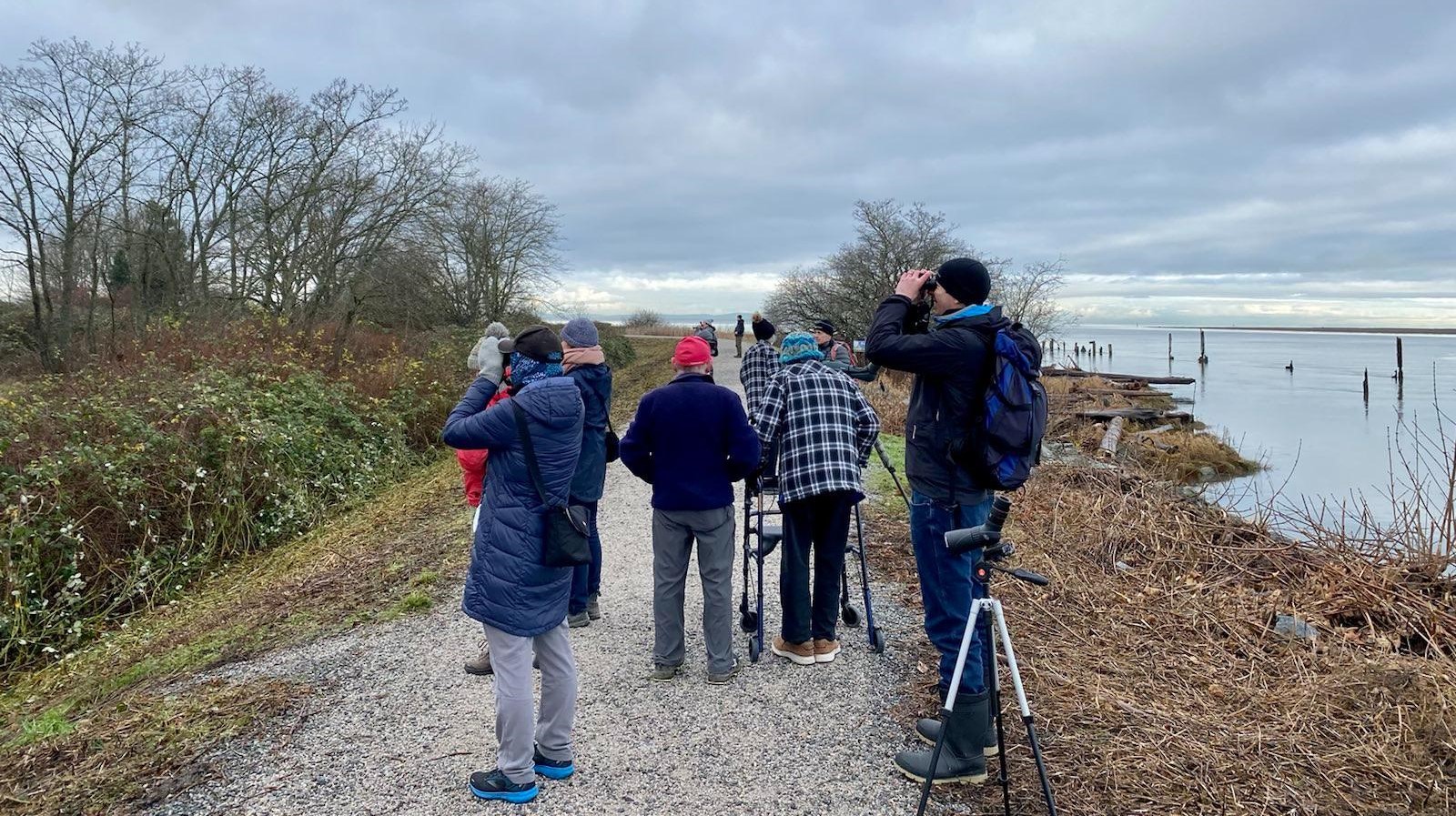 Group of birders in a forest in early morning. They're walking single file across a boardwalk.